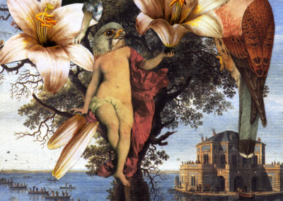 Romantici rapimenti