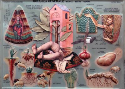 Botanica generale
